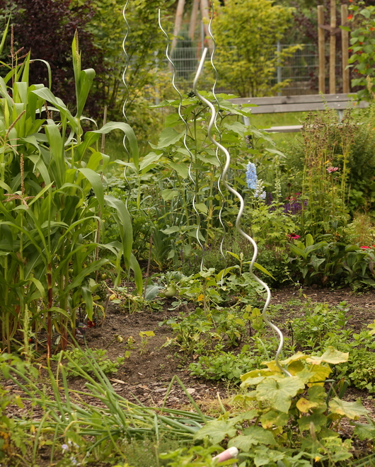 Beet im Gemeinschaftsgarten.
