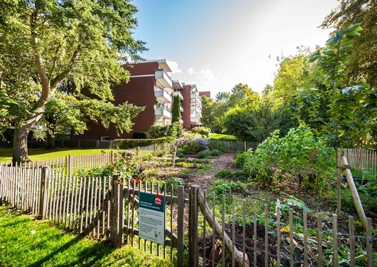 Nachbarschaftsgarten in St. Lorenz Süd mit Staketenzaun und TRAVE-Schild. Im Hintergrund ein Mehrfamilienhaus der TRAVE.
