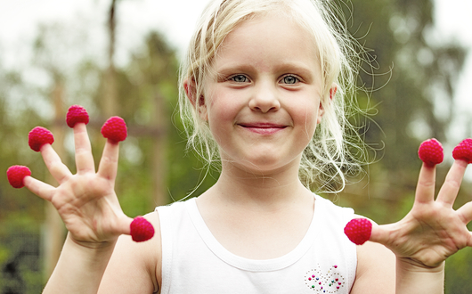 Kind mit Himbeeren auf den Fingerkuppen. Kind mit Himbeeren auf den Fingerkuppen